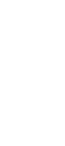年2回の全犬種展覧会を実施